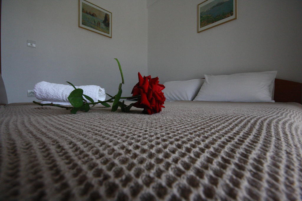 Pavloudis Apartments プサコウディア 部屋 写真